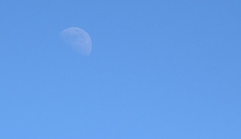 DSC_0018.JPG