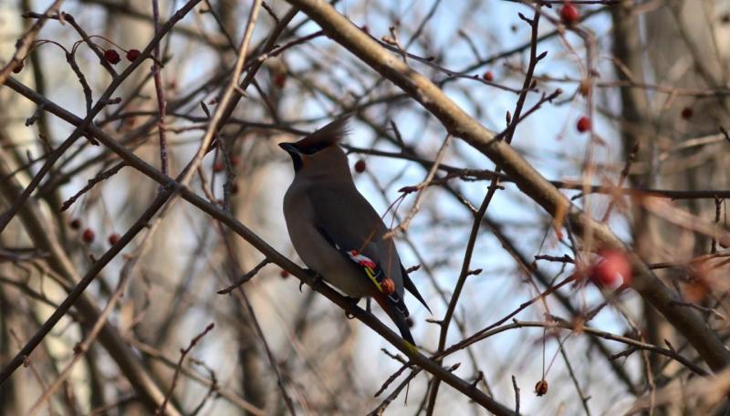 DSC_0069.JPG