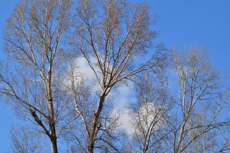 DSC_0065.JPG