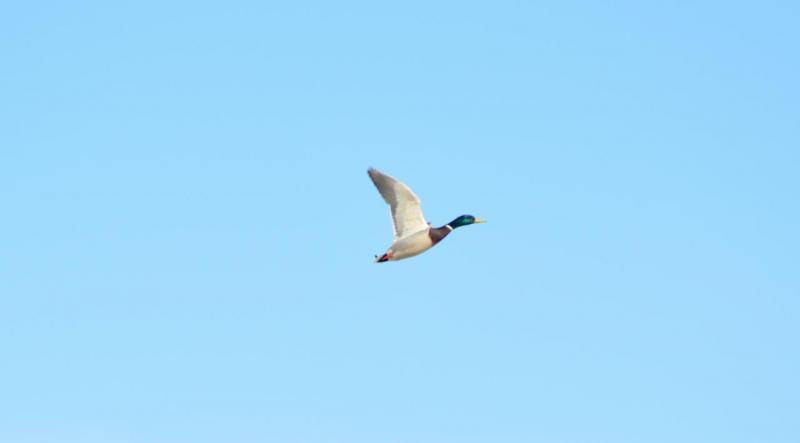 DSC_0014.JPG
