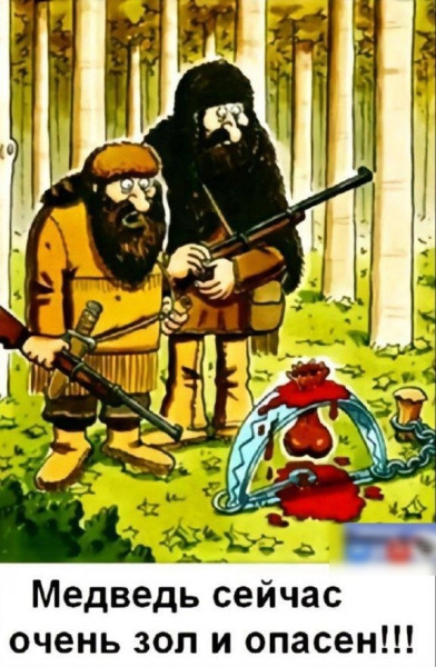 медведь.jpg