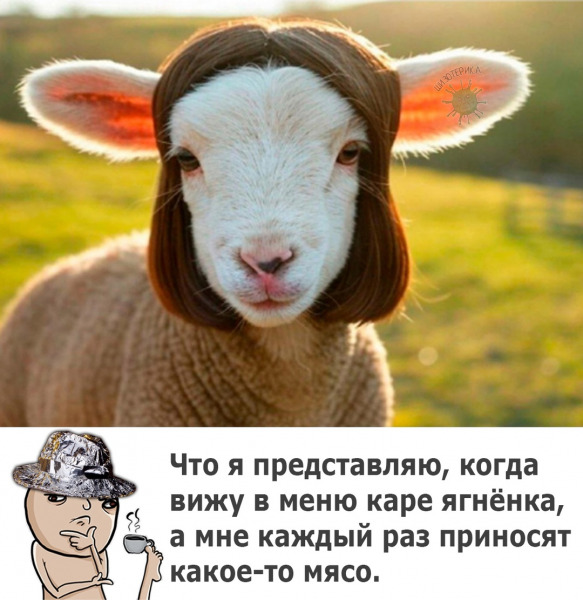 каре.jpg