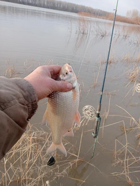 IMG20260418190930.jpg