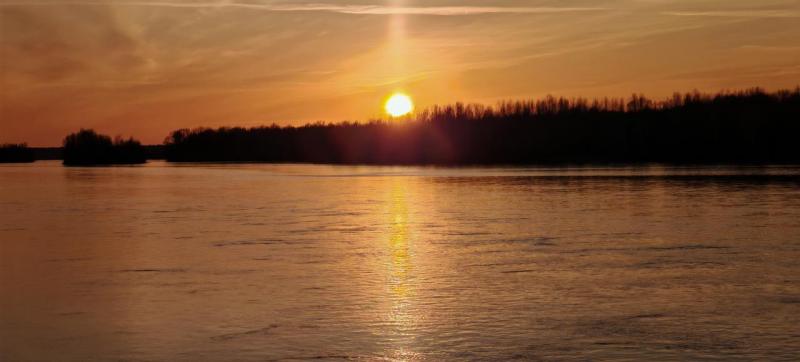 IMG_20260419_201239.jpg