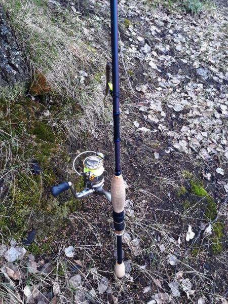 Прикрепленное изображение