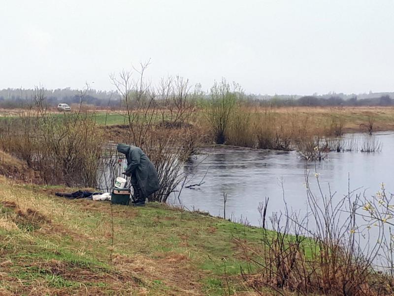 Прикрепленное изображение