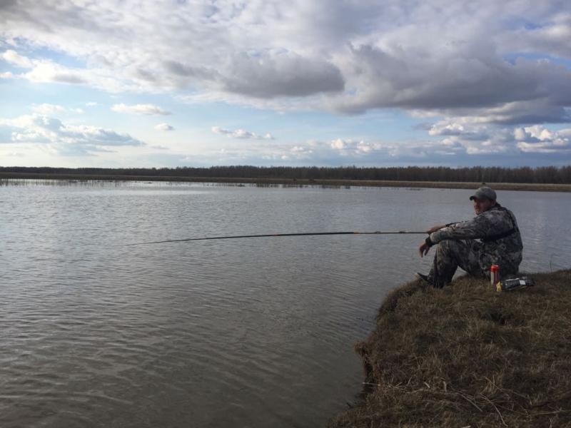 Прикрепленное изображение