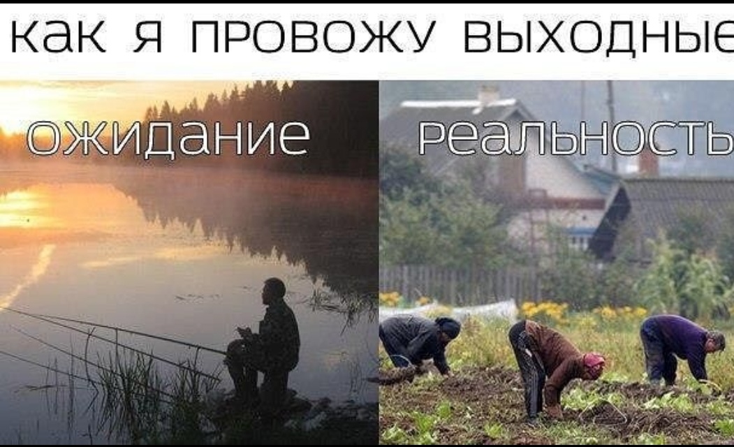 Картинка выходные с пользой