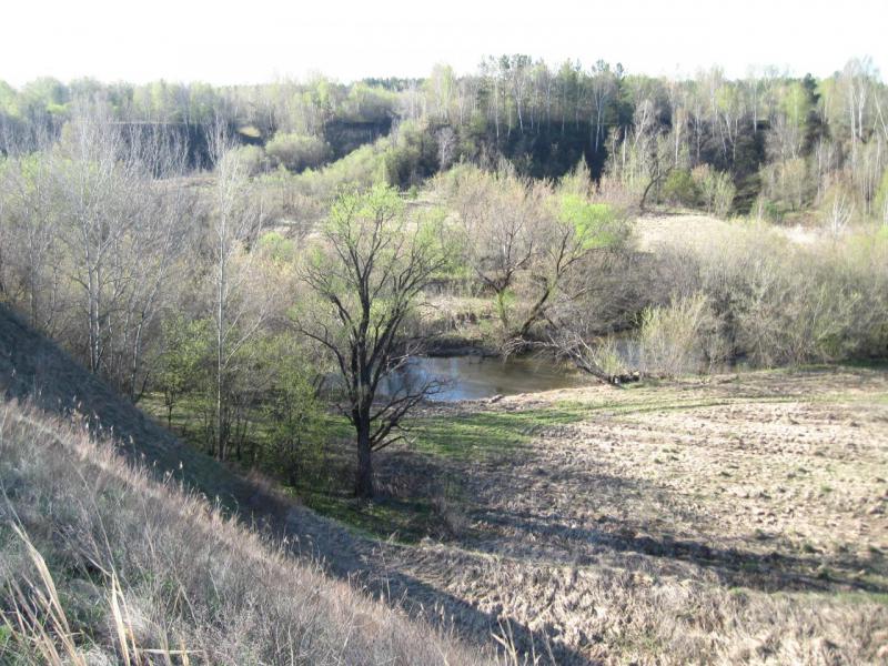 Прикрепленное изображение