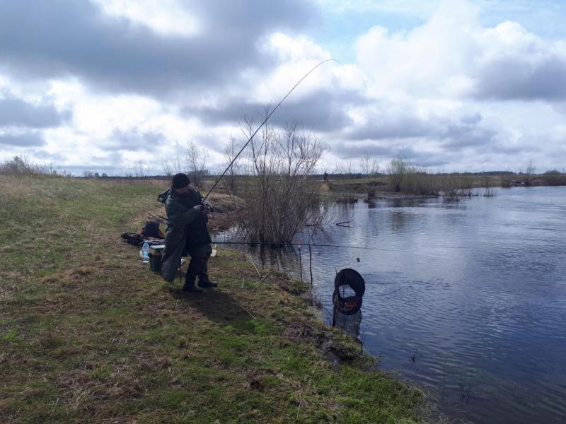 Прикрепленное изображение