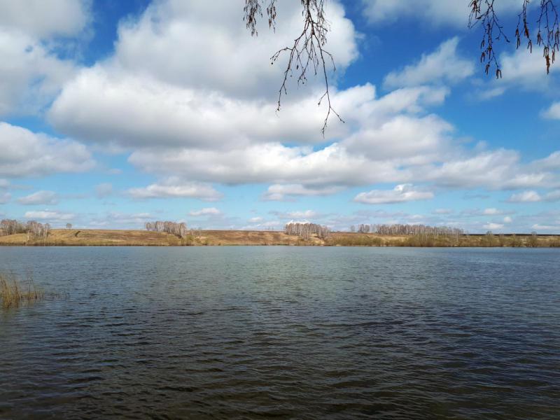 Прикрепленное изображение