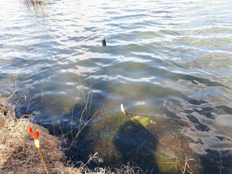 Прикрепленное изображение