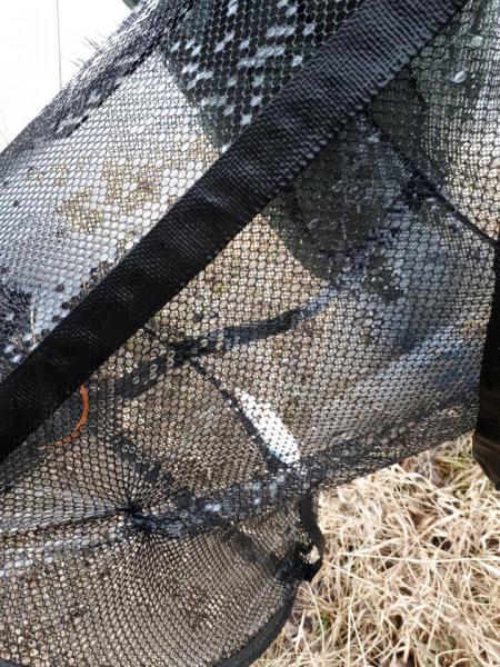 Прикрепленное изображение