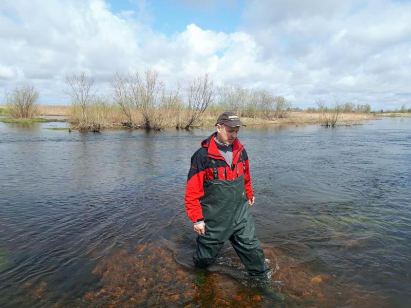 Прикрепленное изображение