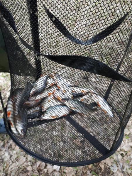 Прикрепленное изображение