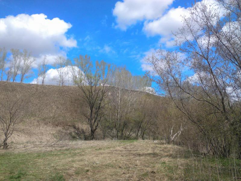 WP_20180513_0011.jpg