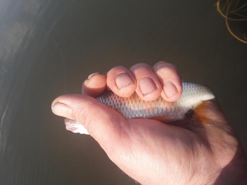 20180501_1627231.jpg