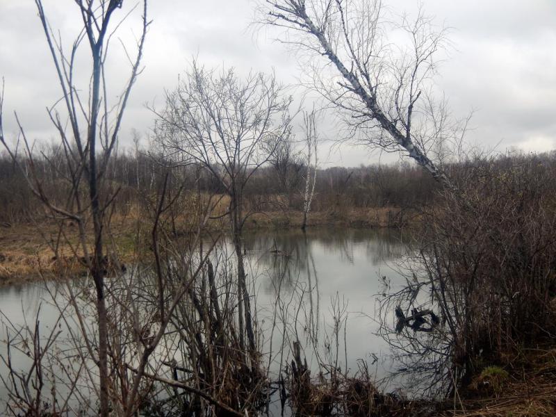 DSCN4213.JPG