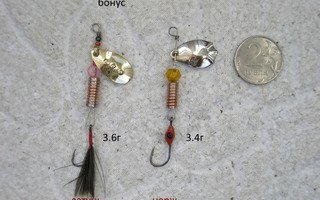 1522931907-4017.JPG