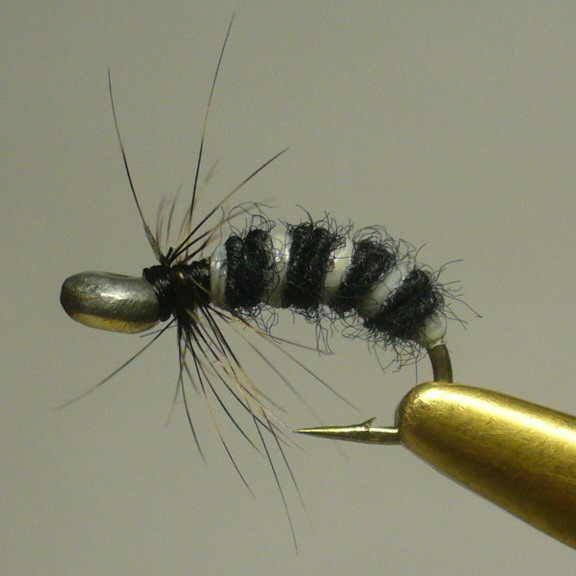 P1100370.jpg