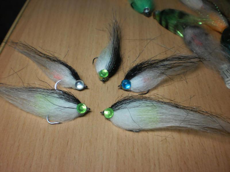 P5050076.JPG