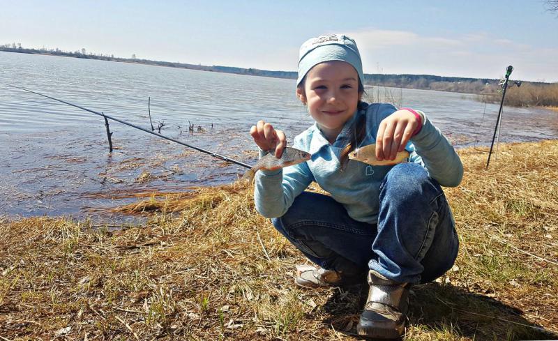 Прикрепленное изображение