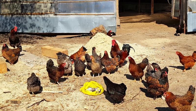 Прикрепленное изображение