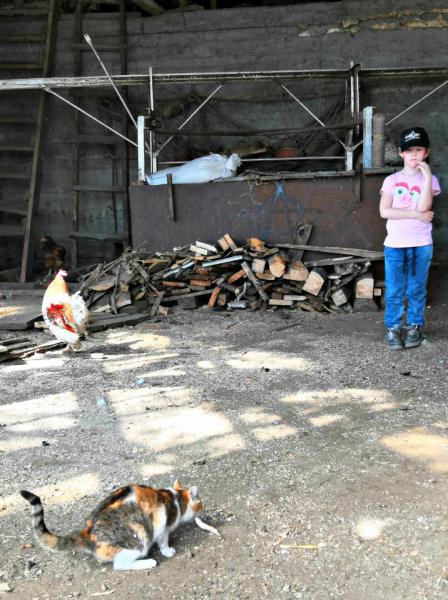 Прикрепленное изображение