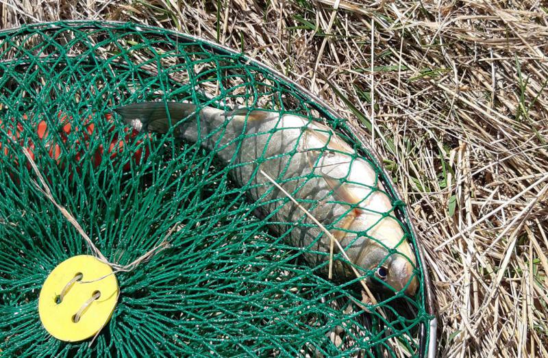 Прикрепленное изображение