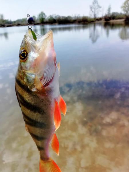 Прикрепленное изображение