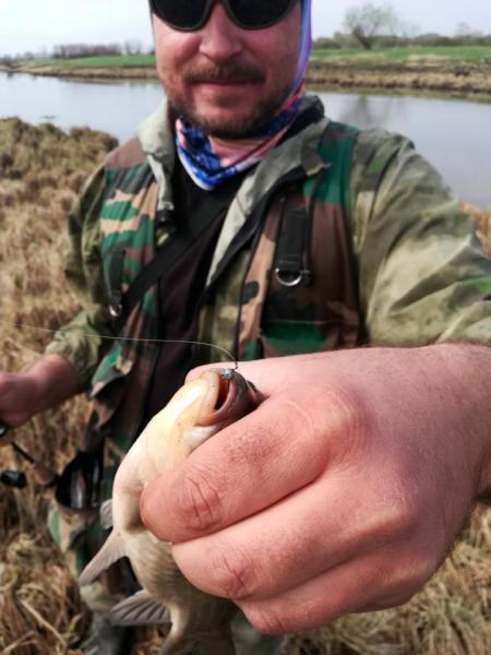 Прикрепленное изображение