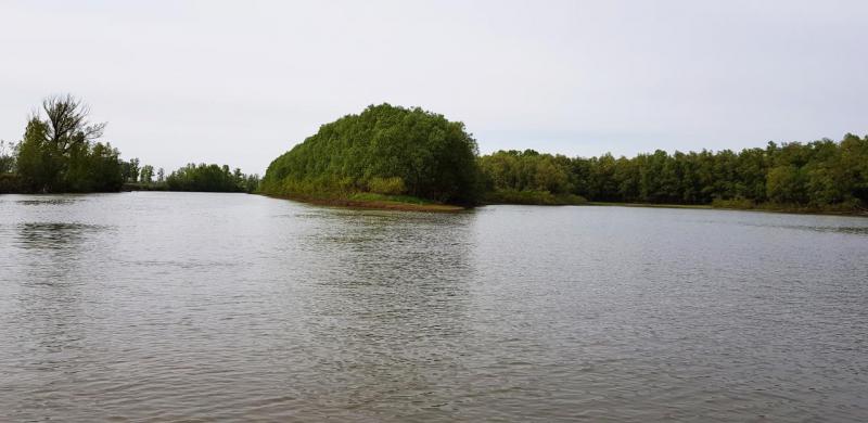 Прикрепленное изображение