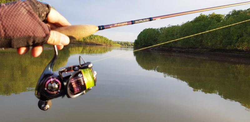 Прикрепленное изображение