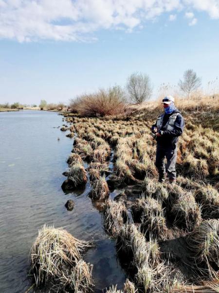 Прикрепленное изображение