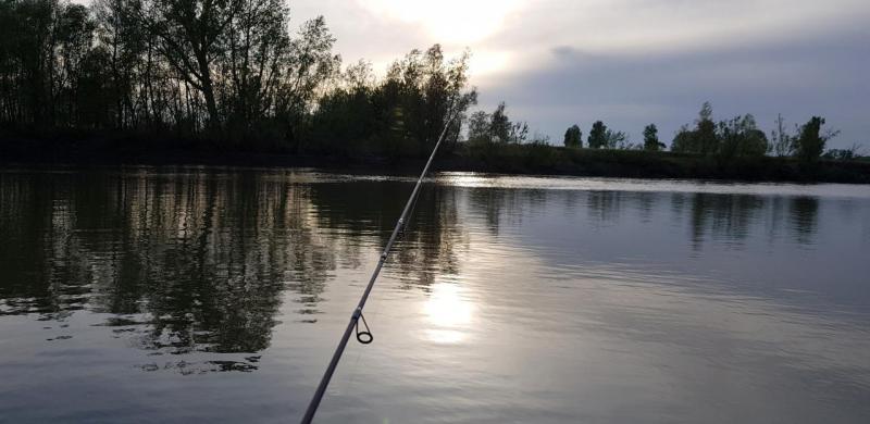 Прикрепленное изображение