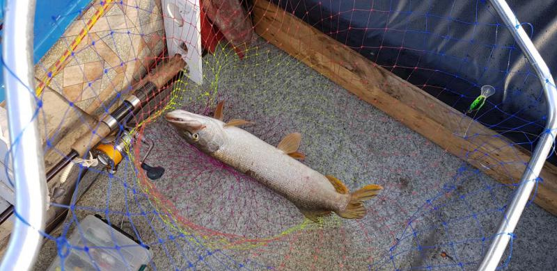 Прикрепленное изображение