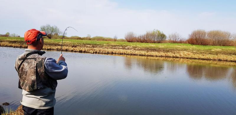 Прикрепленное изображение