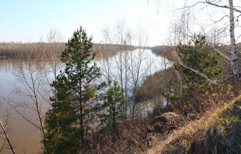 Прикрепленное изображение