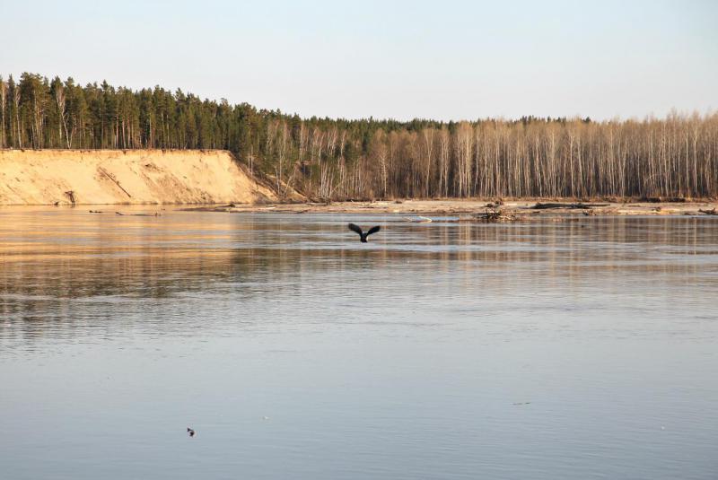 Прикрепленное изображение