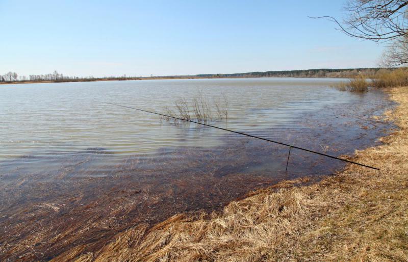 Прикрепленное изображение