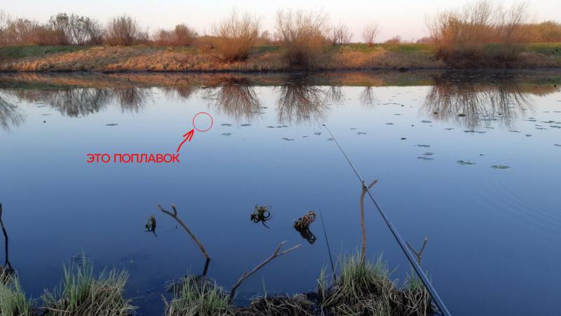 Прикрепленное изображение