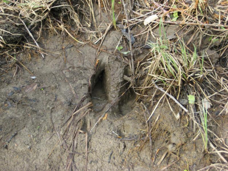 Прикрепленное изображение: IMG_7622.JPG