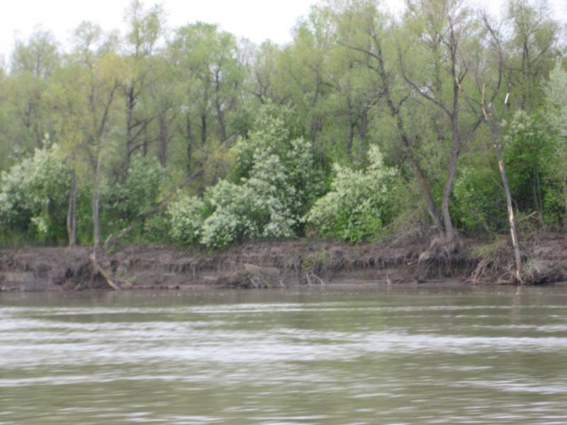 Прикрепленное изображение: IMG_7619.JPG