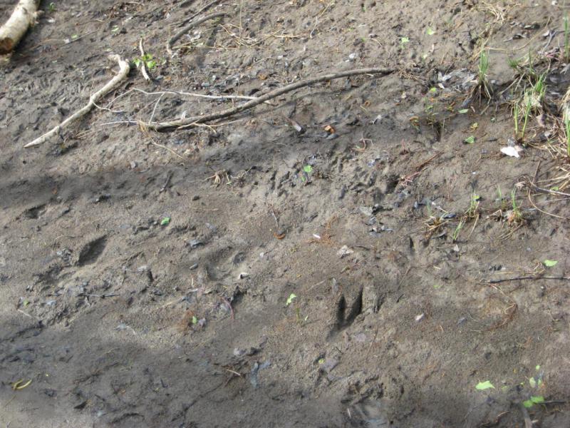 Прикрепленное изображение: IMG_7624.JPG