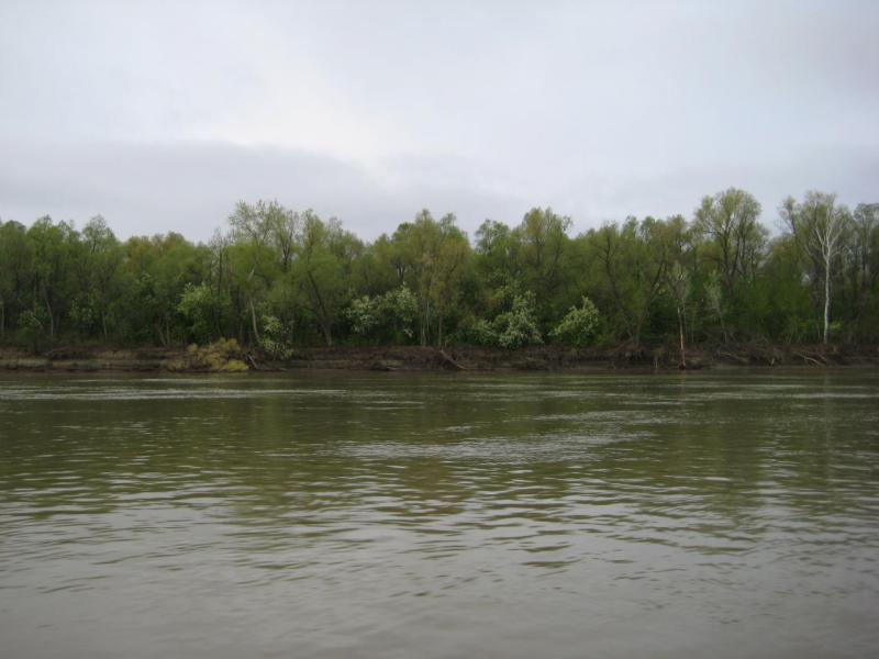 Прикрепленное изображение: IMG_7618.JPG