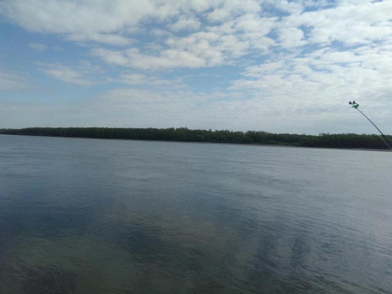 Прикрепленное изображение: IMG_20190524_090307.jpg