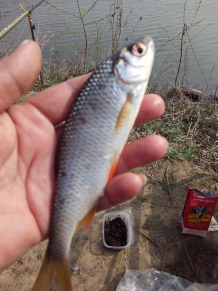 Прикрепленное изображение: IMG_20190509_105527.jpg