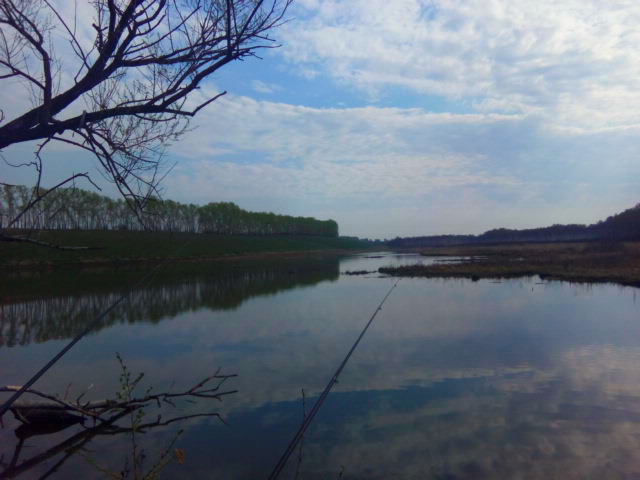 Прикрепленное изображение: IMG_20190509_090654.jpg