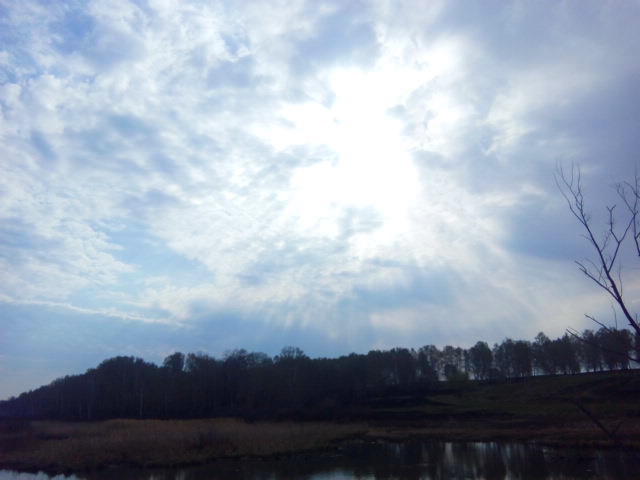 Прикрепленное изображение: IMG_20190509_090647.jpg