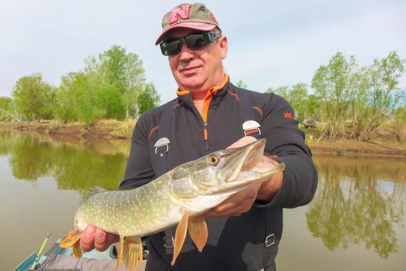 Прикрепленное изображение: P1080851.jpg